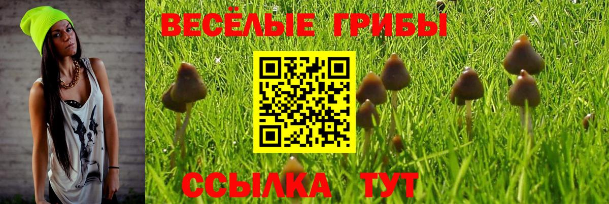 Галлюциногенные грибы GOLDEN TEACHER Уварово